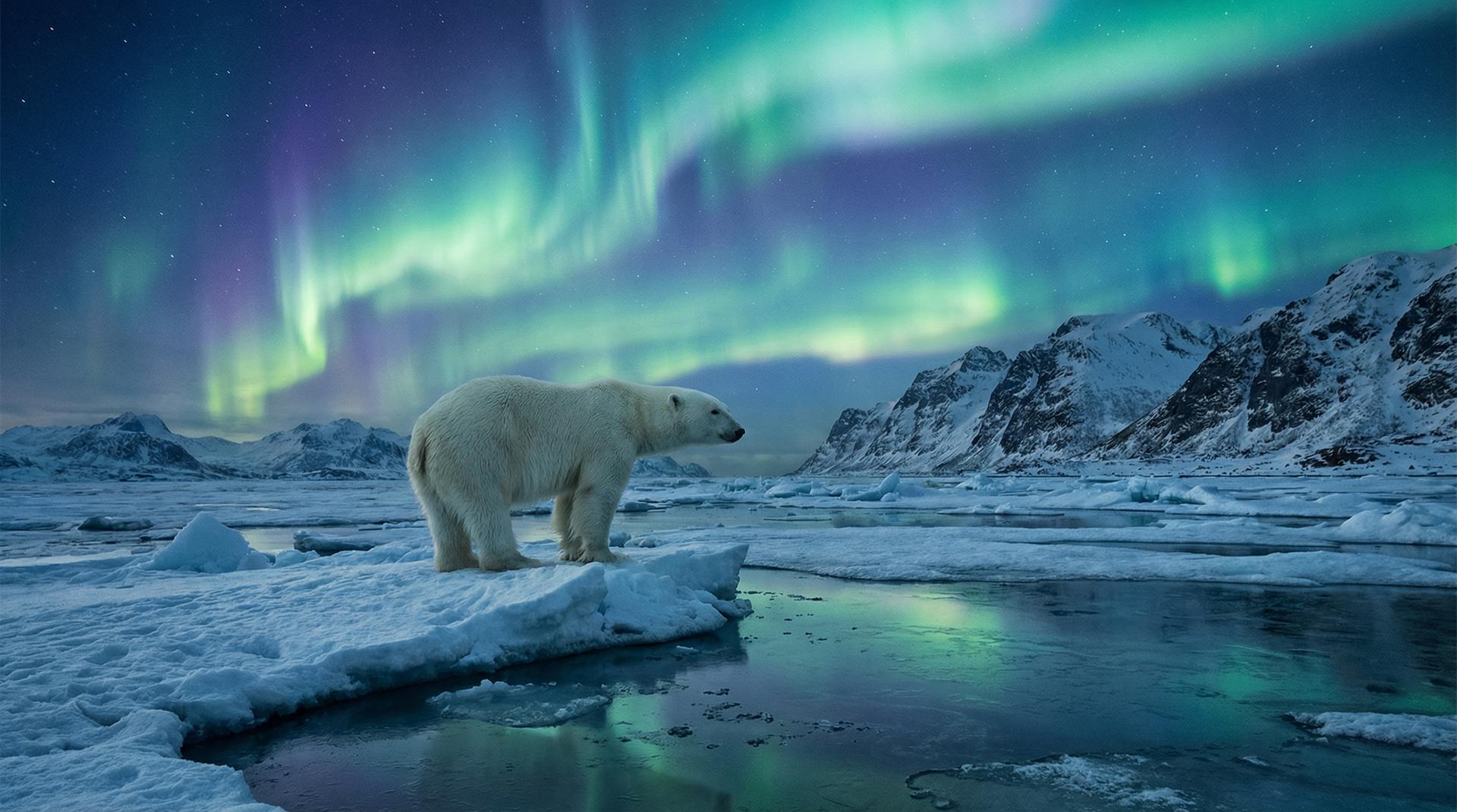 每日大赛杰尼龟视频